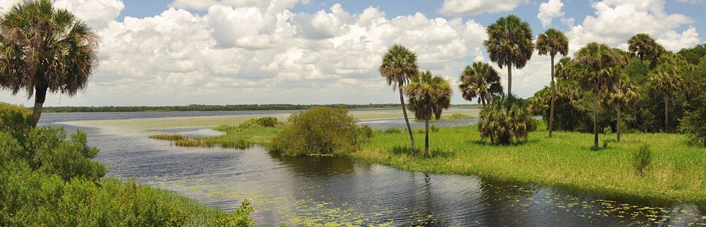 11 Underrated State Parks In Florida