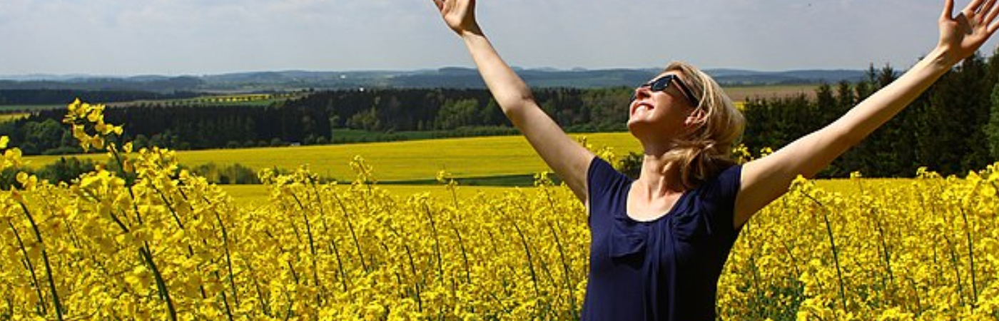 The States With The Best Quality Of Life—According To Data