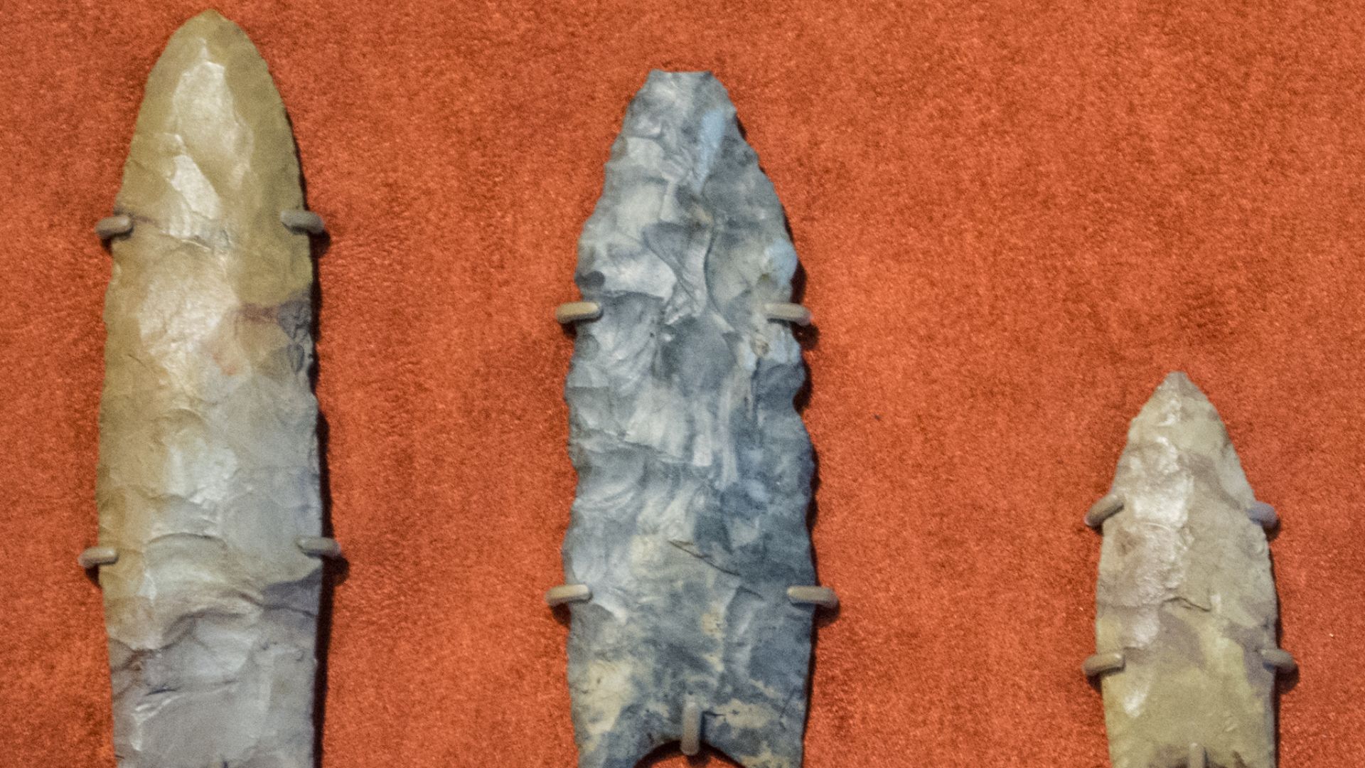 Understanding The Multifaceted Clovis Culture Of North America