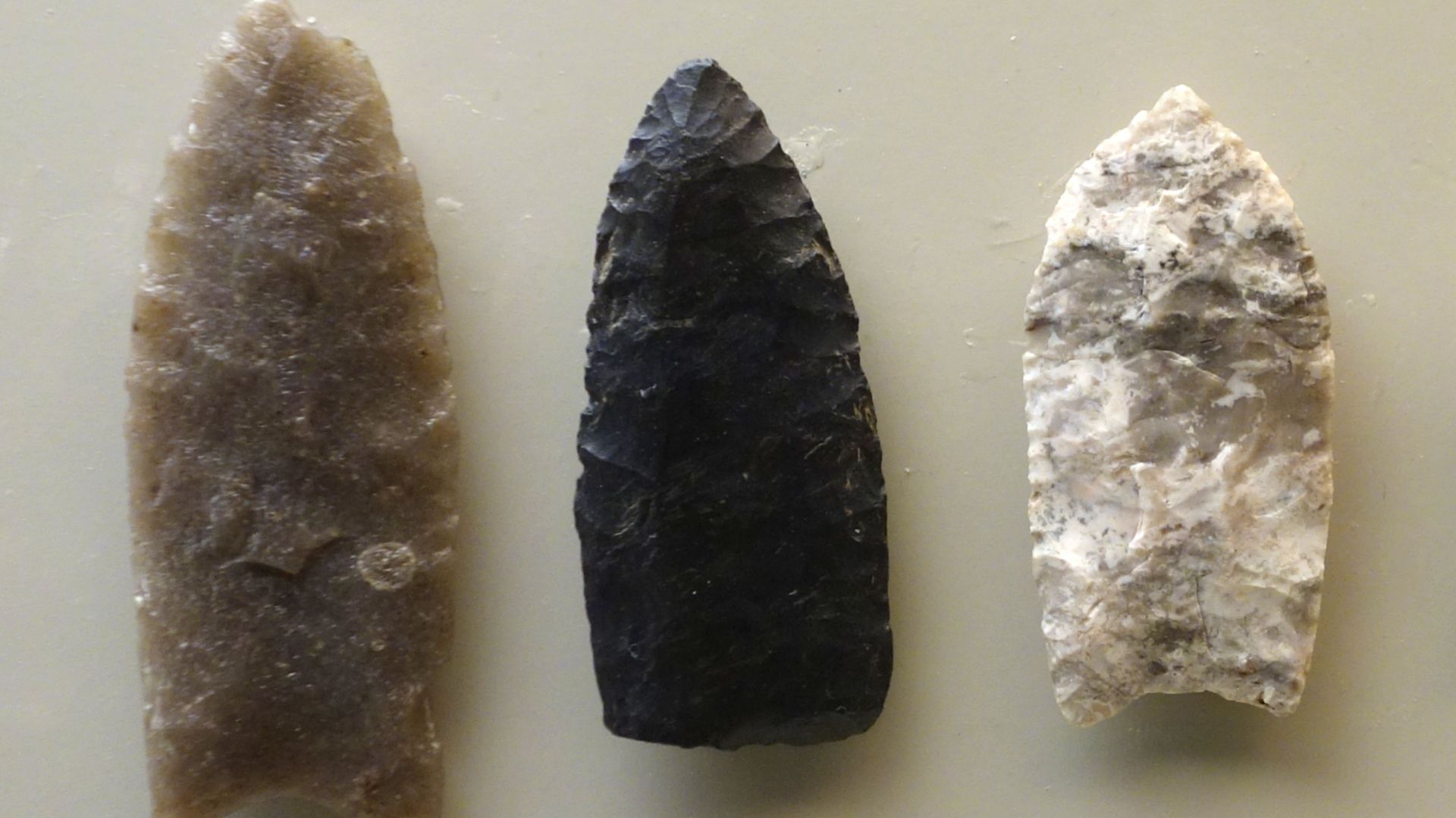 Understanding The Multifaceted Clovis Culture Of North America