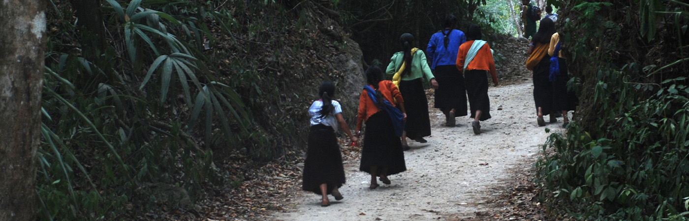 The Lacandon People: An Ancient Mayan Tribe In A Fight For Survival