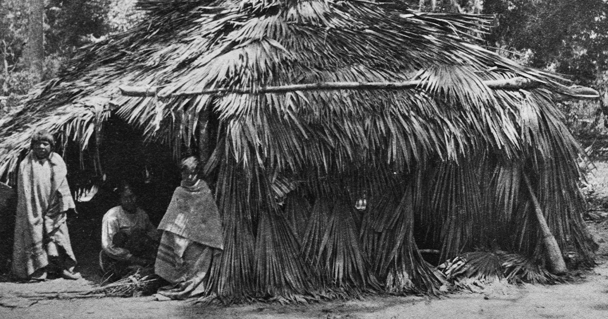 The Choctaw