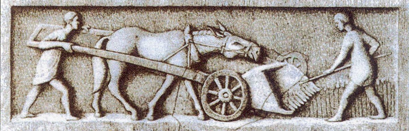 Scientific analysis shows the Romans made a mistake that made everyone in Ancient Europe stupider for centuries.