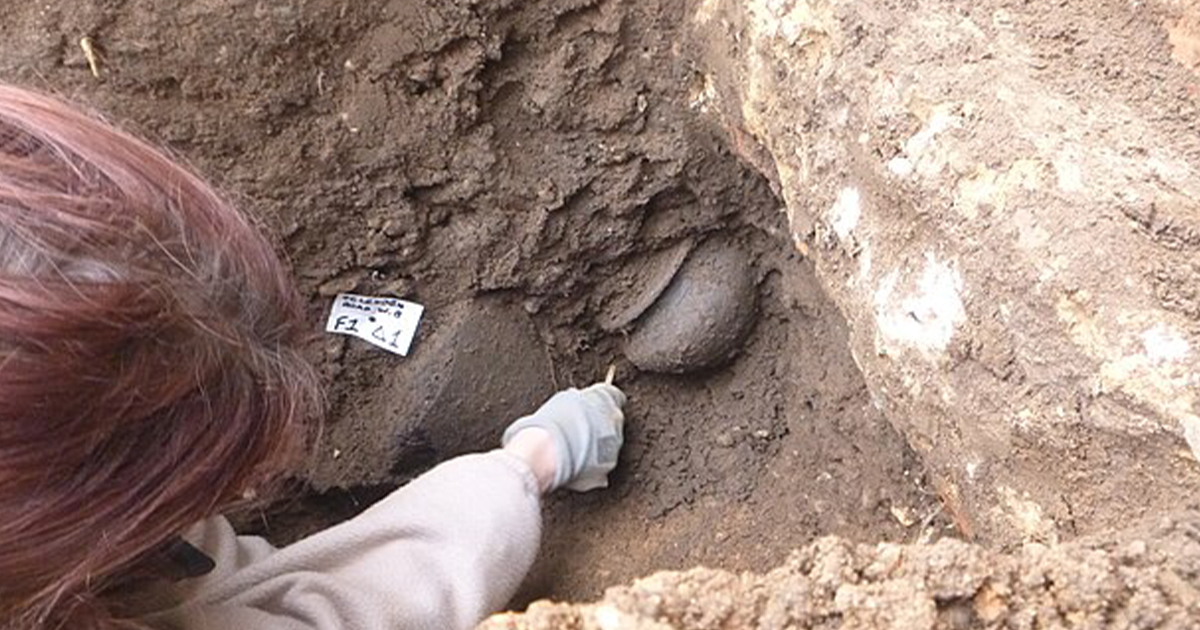 Archaeologists unearthed an ancient Roman warrior mass grave beneath a soccer field in Vienna.