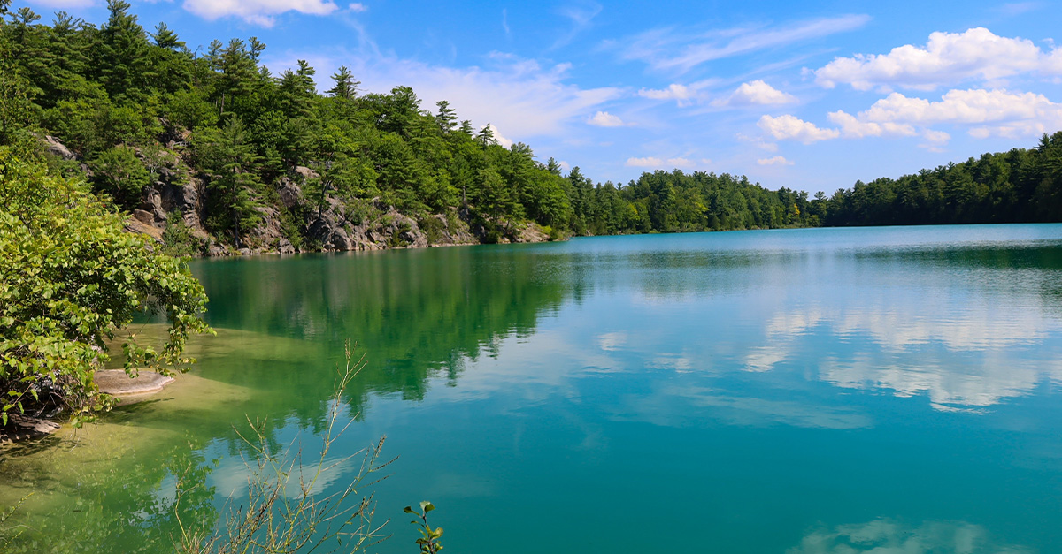 What To Bring On Your Visit To The World's Largest Urban Parks This Summer