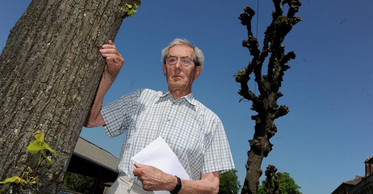 These 25 Trees Are Now Hard To Find Or Gone For Good