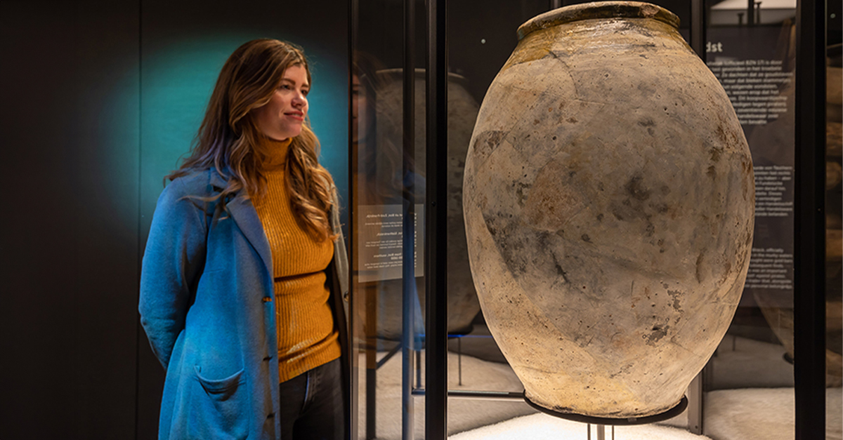 The Priceless Treasures Of The Palmwood Shipwreck