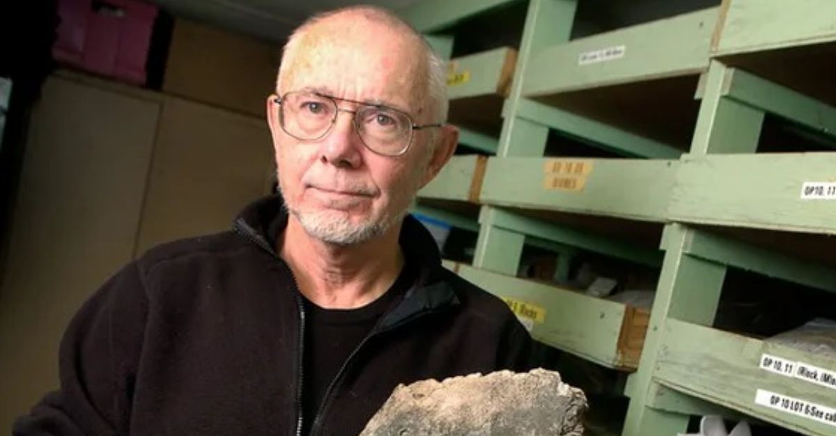 One Gorilla Fossil Changed The Science Of Evolution Forever