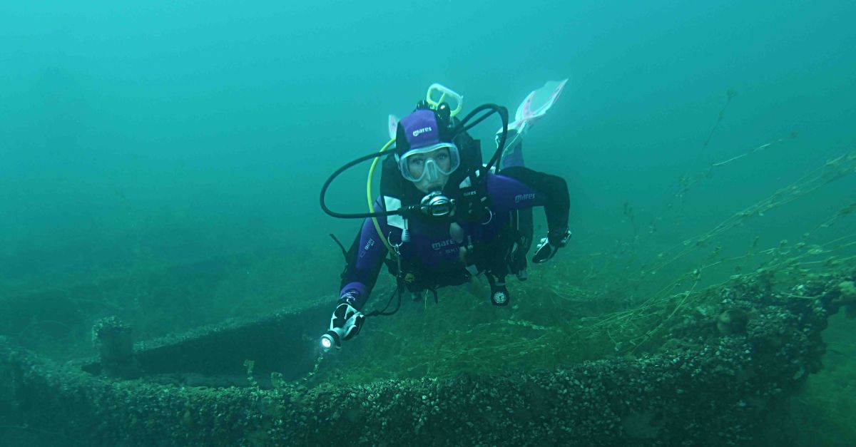 Archaeologists excavating Europe's oldest lakefront settlement uncovered over 100,000 defensive spikes that required felling entire forests to build.