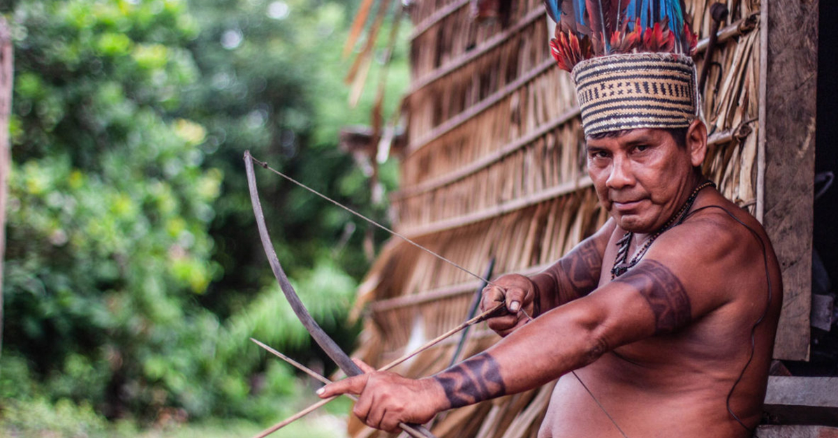 Photos Of The Mawé, The Amazonian People Who Bathe In Fire Ants As A Rite Of Passage