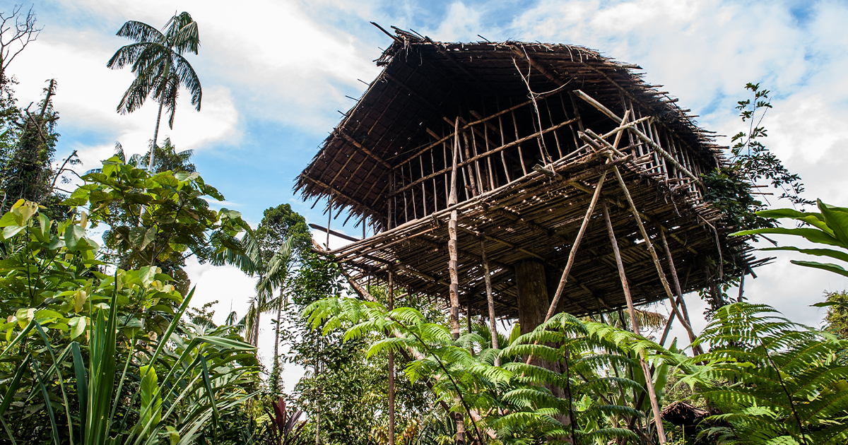 Photos Of The Hidden Treehouse Tribe That Still Practices Cannibalism