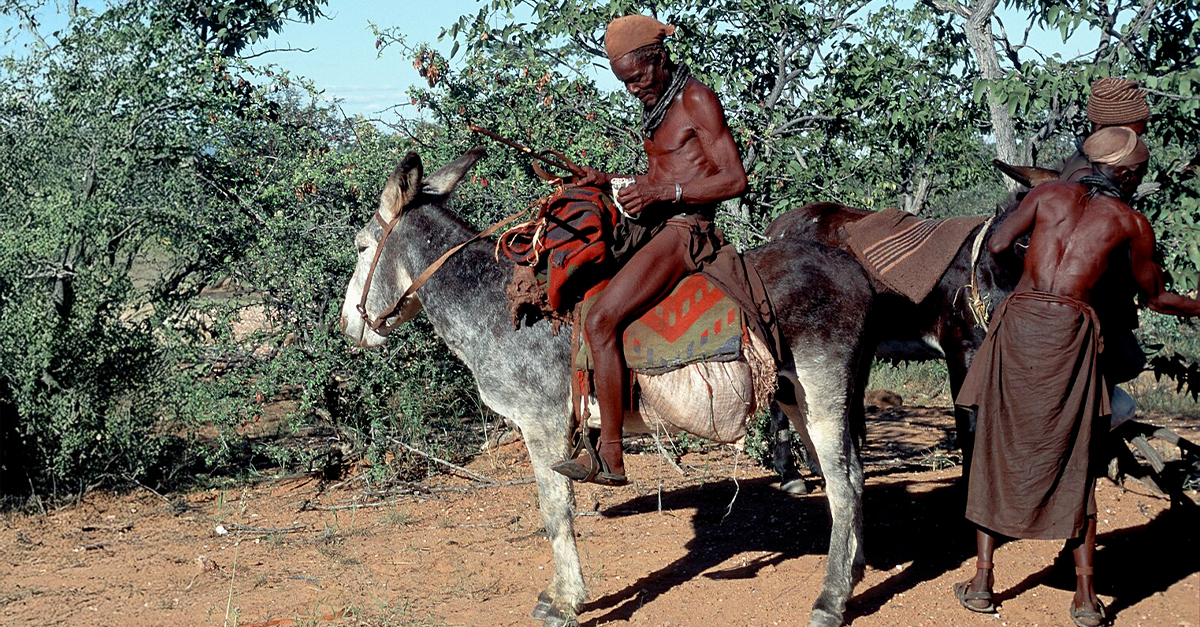 The Himba People: Namibia’s Last Nomadic Tribe