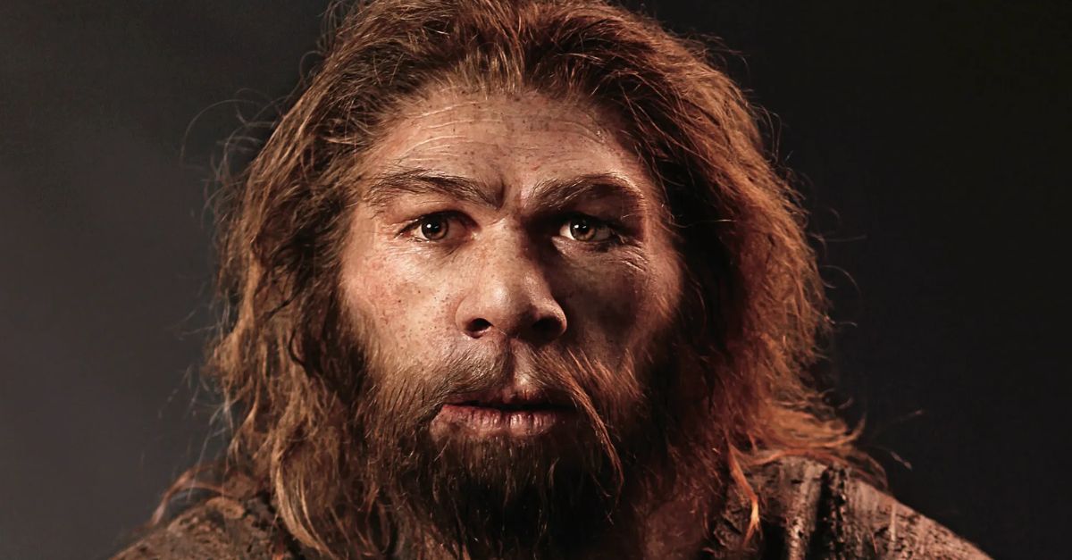 Archaeological evidence suggests that if Neanderthals were alive, they could outfight, outlift, and outlive everyone today.