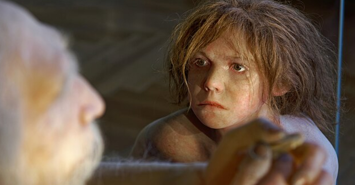 Homo neanderthalensis, The Natural History Museum Vienna