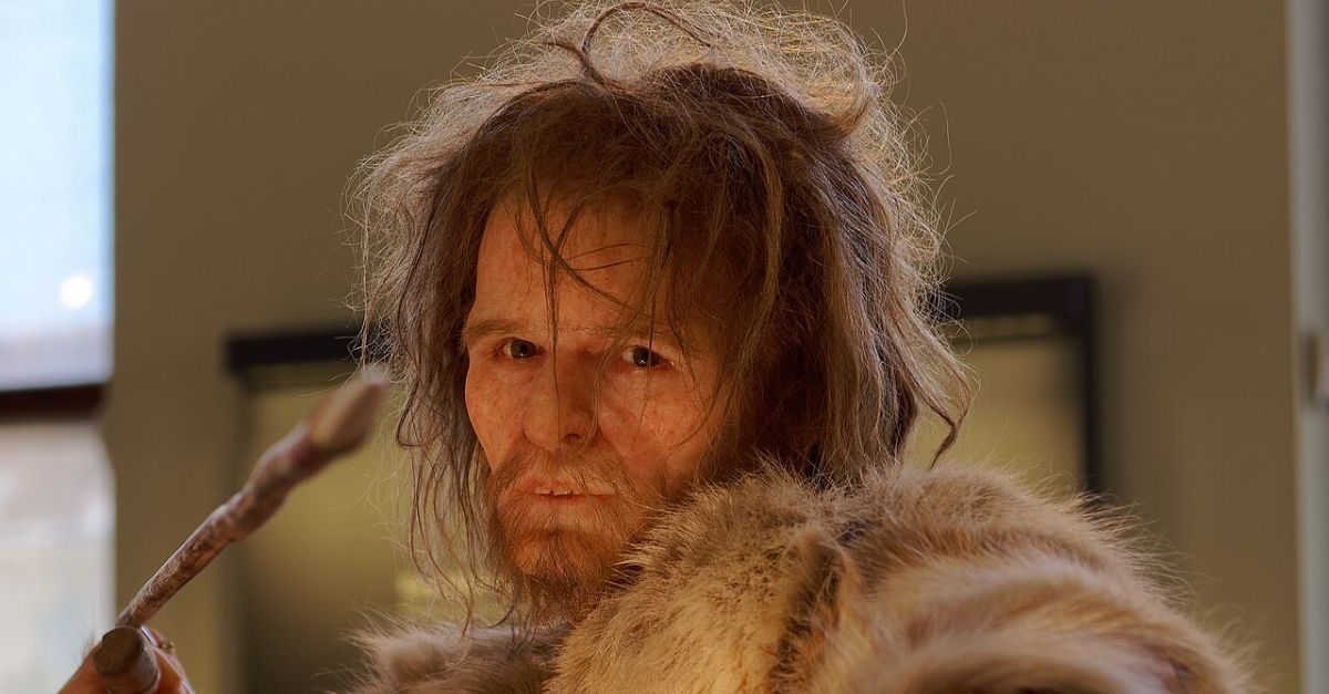 Homo Sapiens, Cro-Magnon 1 The Natural History Museum Vienna