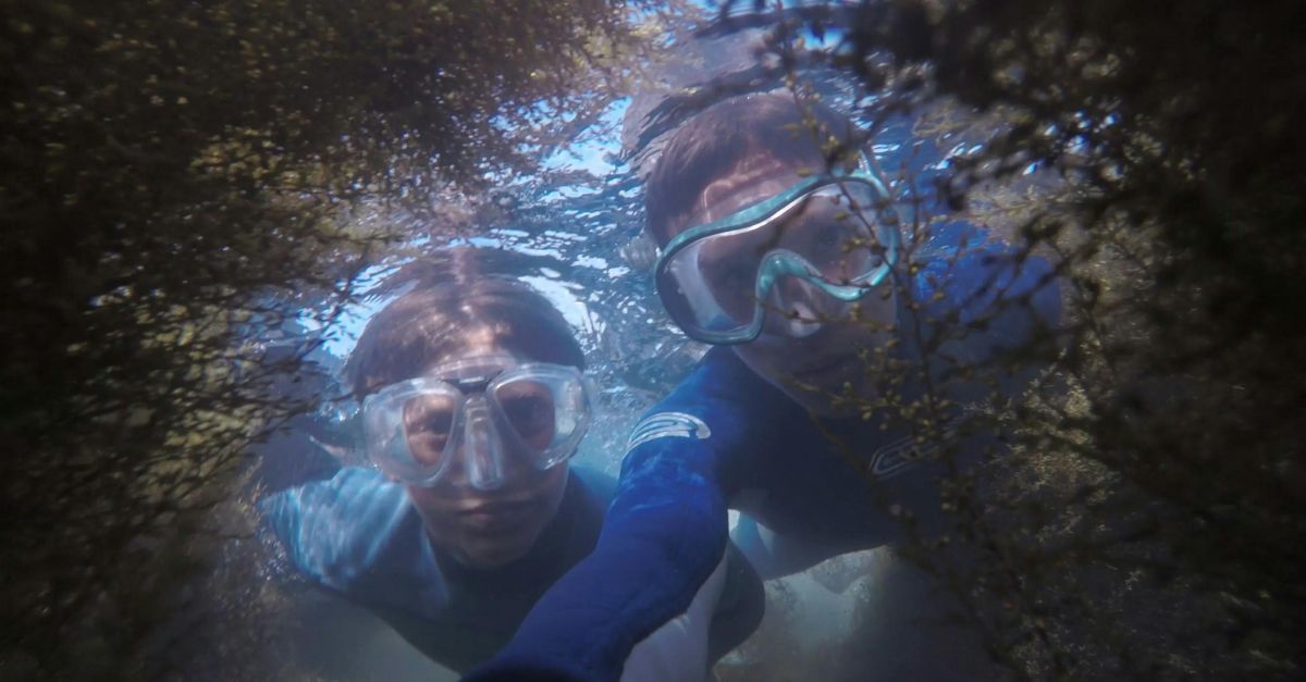 Two people Snorkeling