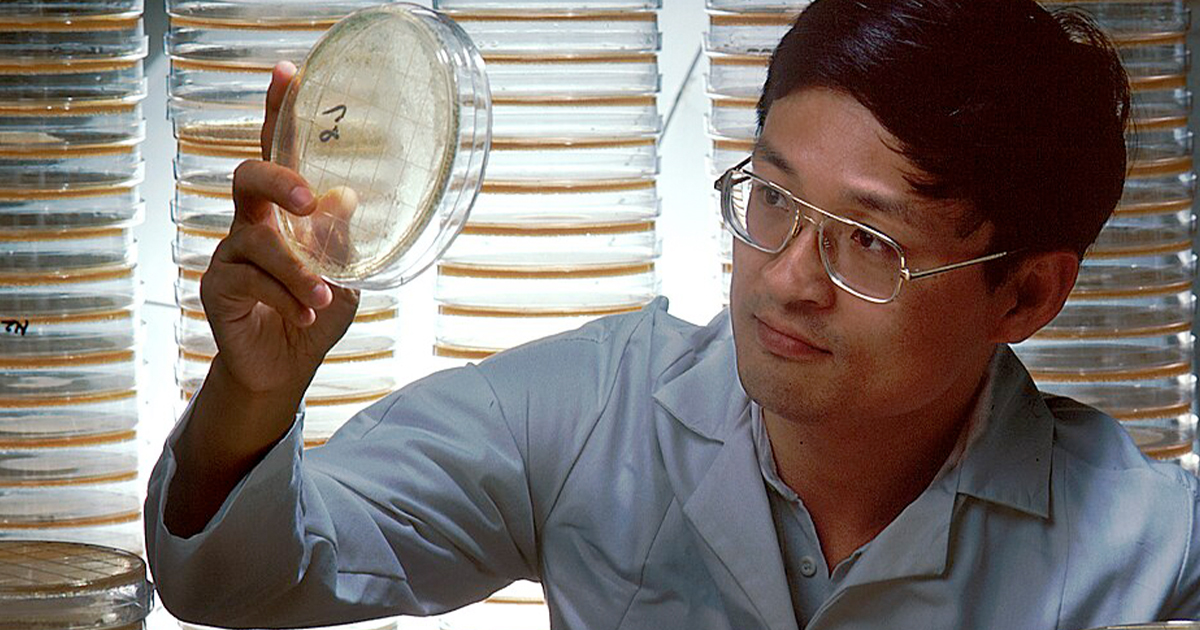 Scientist looking at a sample