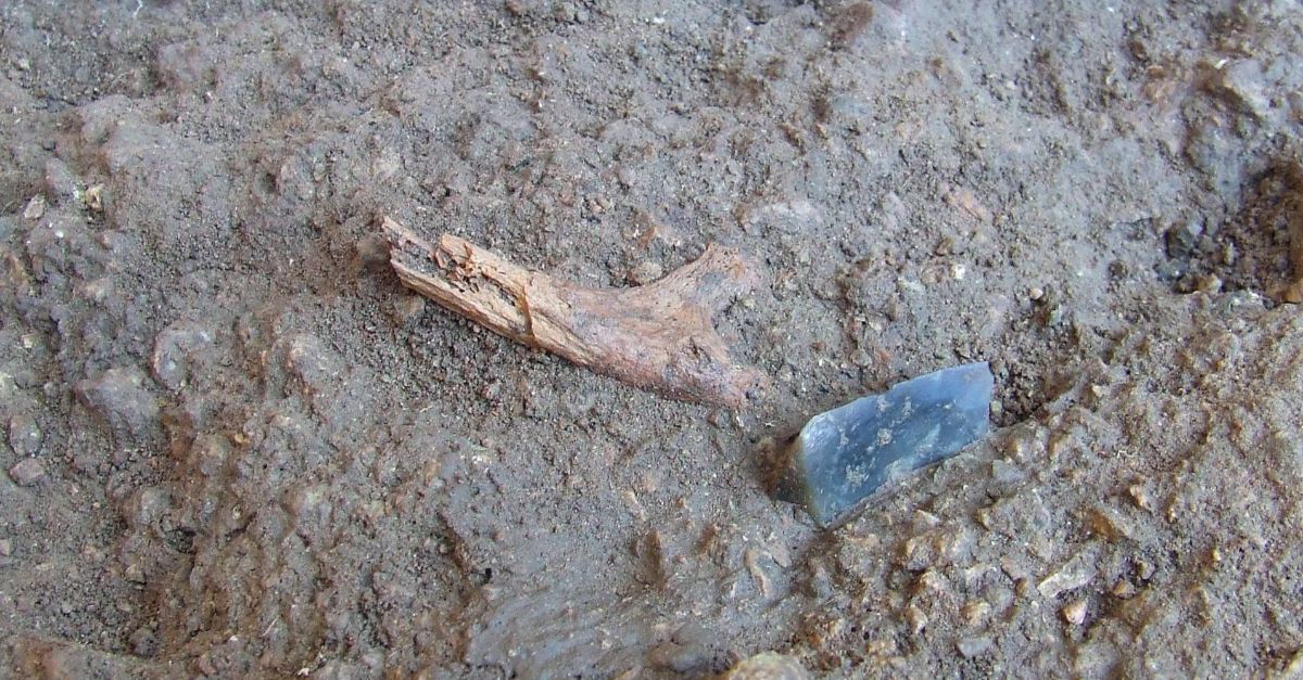 The findings of excavations of Upper Paleolithic layer at settlement Buran-Kaya - a fragment of bone and remains of a tool. Excavations of Upper Paleolithic archeological layer (Gravettian cultural tradition - Cro-Magnons) at the shelter-cave site of Bura