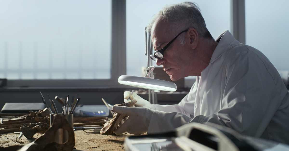 Senior paleoanthropologist in gloves and lab coat examines prehistoric human bones under lamp