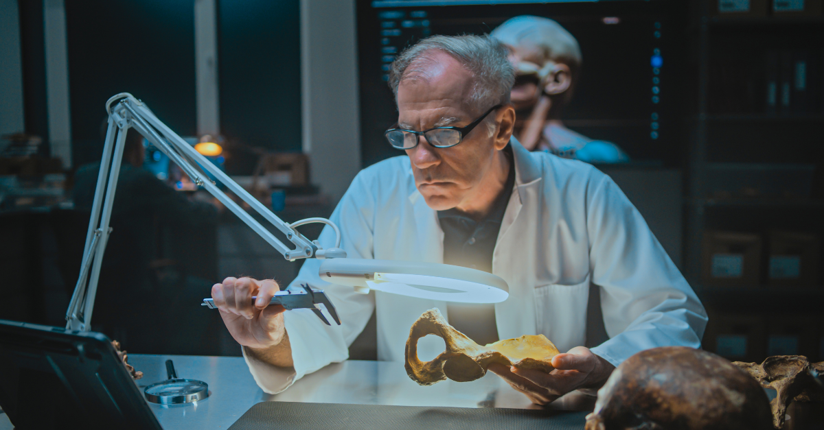 Senior archaeologist measures and studies fossil bones under lamp
