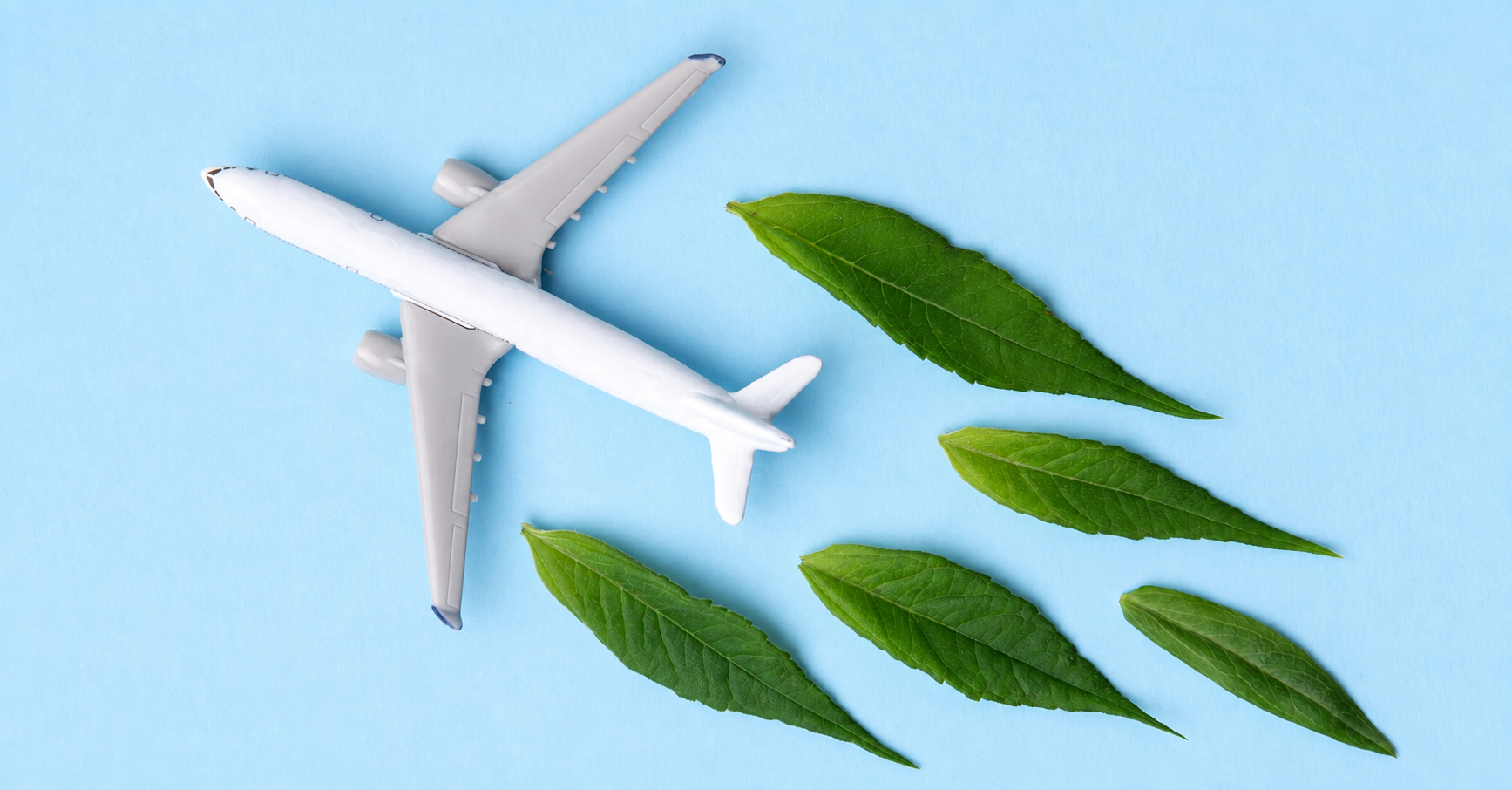 Sustainable Aviation Fuel. White airplane model, fresh green leaves on blue background. Clean and Green energy, Biofuel for aviation industry