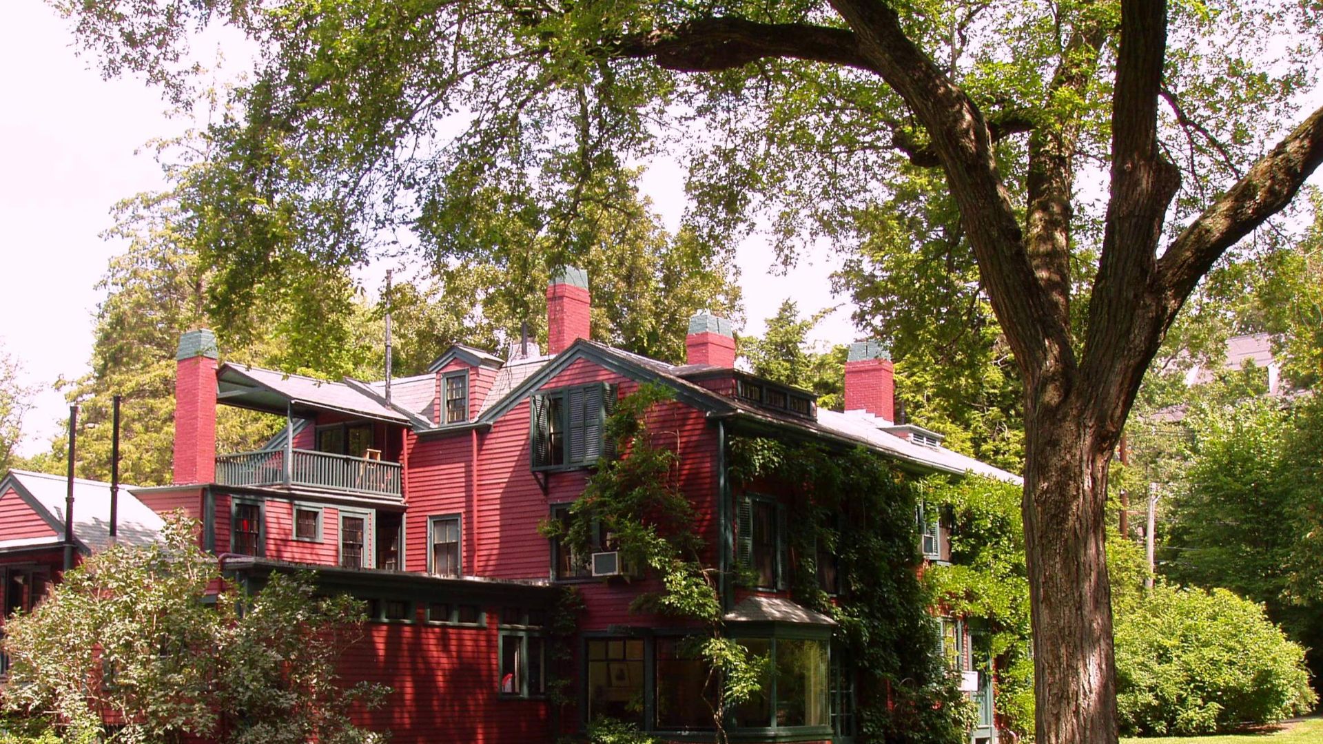 These 25 Trees Are Now Hard To Find Or Gone For Good