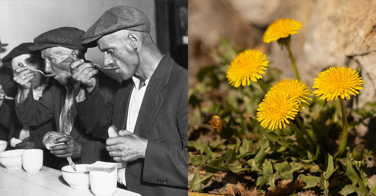 12 Shocking Foods People Ate To Survive The Great Depression